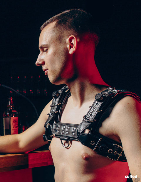 leathties harness one