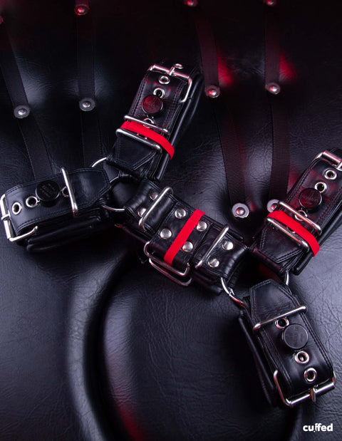 leathstraints harness one
