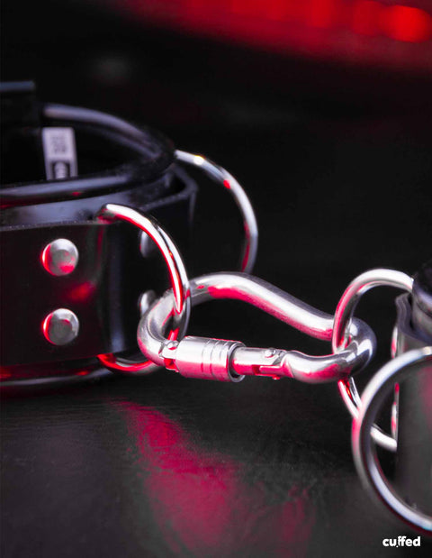 HD carabiner (2 pcs)