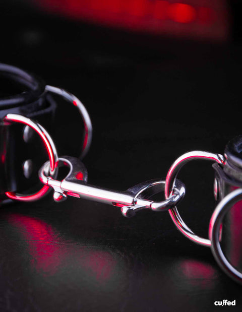 HD dual carabiner